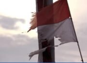 Kesenjangan Wilayah, Perlunya UU Re-investasi