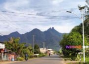 Dari Pokok Getah Karet ke Kebun Sawit, Lingga Menunggu Babak Baru