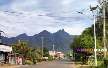 Dari Pokok Getah Karet ke Kebun Sawit, Lingga Menunggu Babak Baru